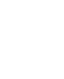 CV icon